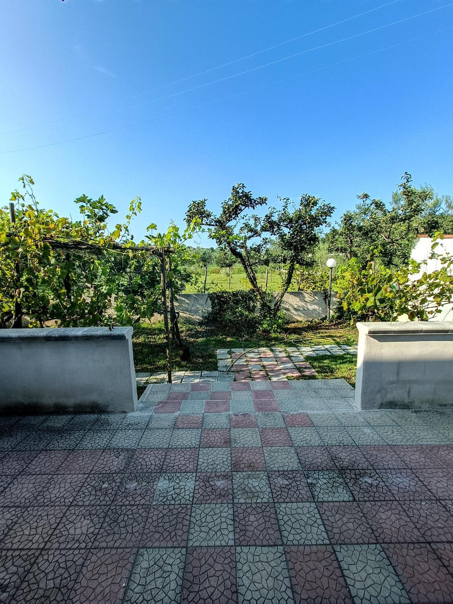 Il Giunco B&B Vieste Zimmer foto